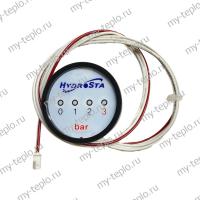 Манометр для котла Daewoo DGB-160 MSC (manomDGB160MSC)